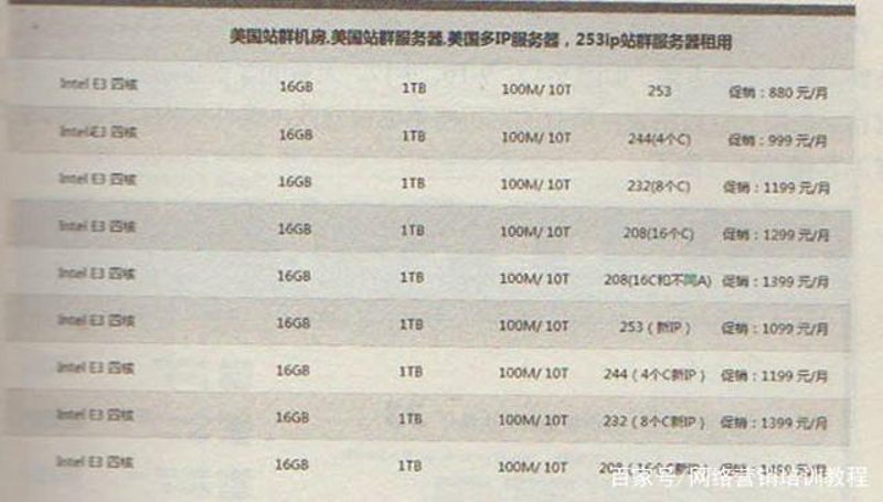 站群程序市场进入技术淘汰赛：从“量取胜”到“质增效”的行业分野